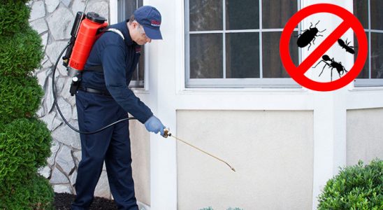 Yenişarbademli Kemirgen İlaçlama böcek ilaçlama ve haşere kontrolü — ilaclama-tr.com